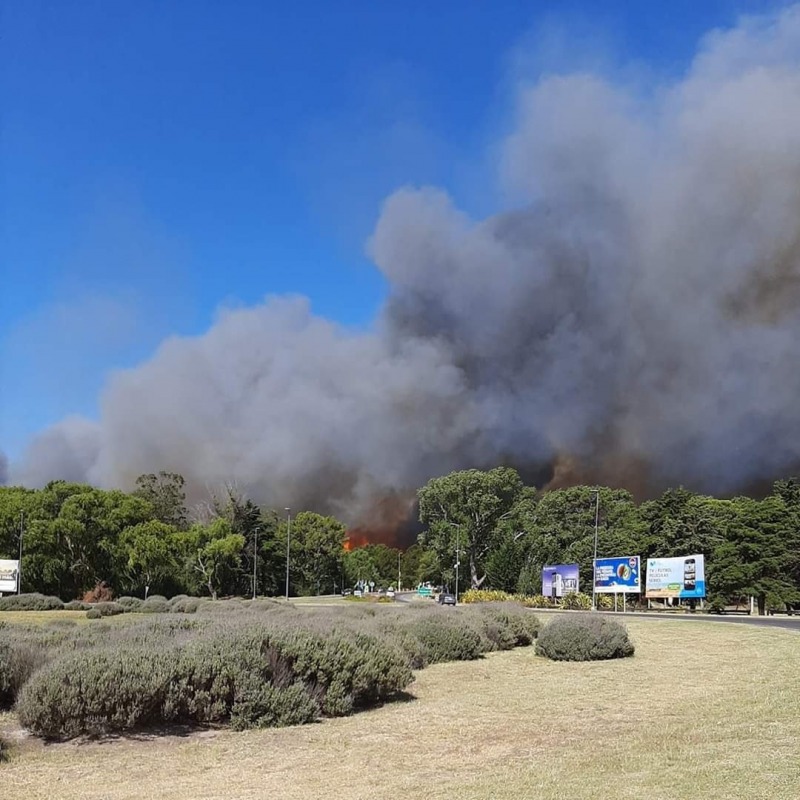 El incendio en Villa Gesell lleg a las casas y el humo a las playas