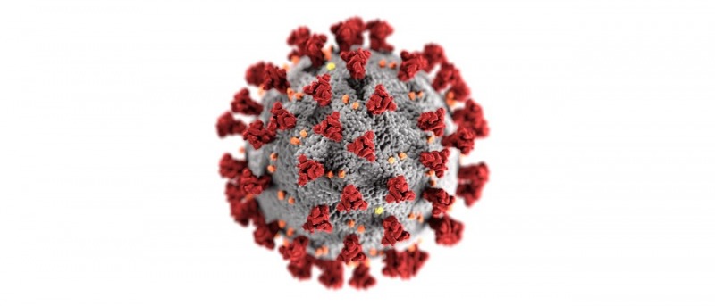 Coronavirus: qu tipos de desinformaciones circulan