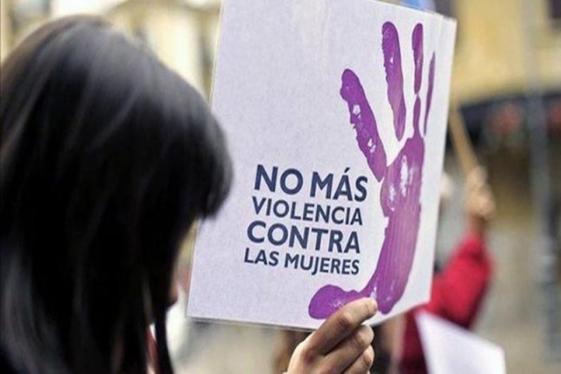 Envan pautas a municipios para que se adhieran a la Ley Micaela