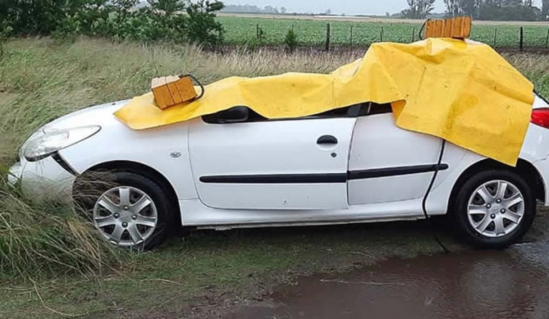 Un rbol cay sobre un auto y muri una menor de edad