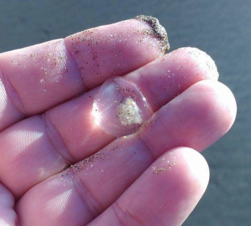 Tapiocas: un fenmeno natural que afecta a los turistas en la playa
