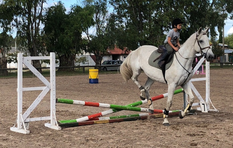 Hubo actividad recreativa de hipismo en Estudiantes