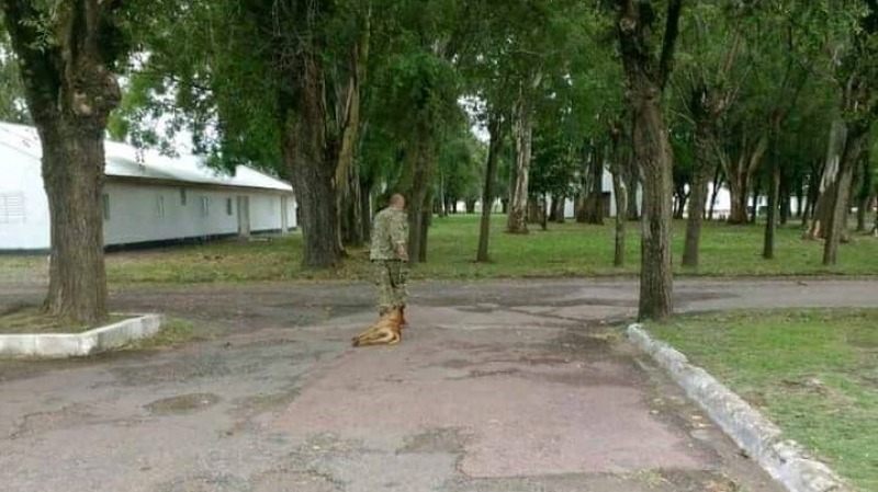 Indignante: Un Suboficial del Ej�rcito at� un perro y lo arrastr� hasta matarlo