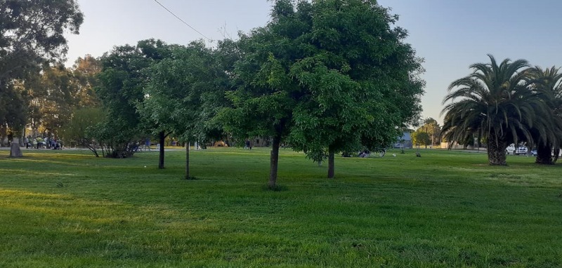 Barrio Los Robles: vecinos juntan firmas para conservar la plaza