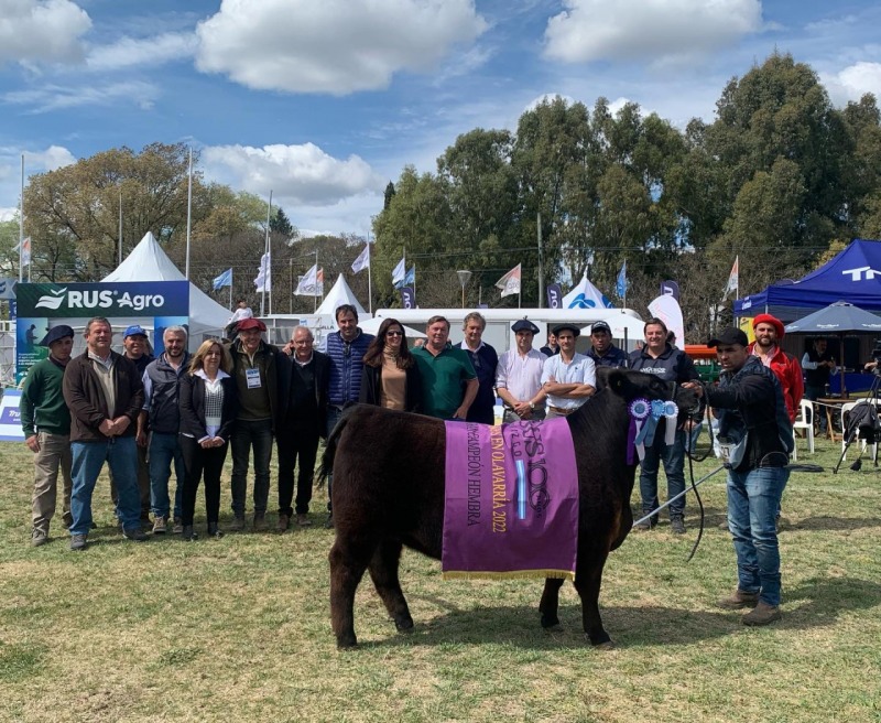 Los Grandes Campeones de la 22 Exposicin del Ternero Angus