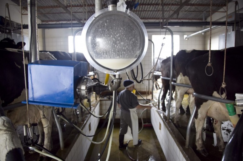 Informaron que hubo un fuerte crecimiento en la agroindustria
