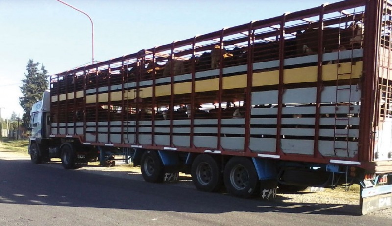 Productores no deben controlar las habilitaciones de camiones