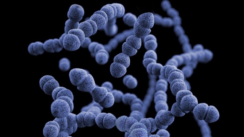 Microbioma: un aporte a la salud digestiva de las personas