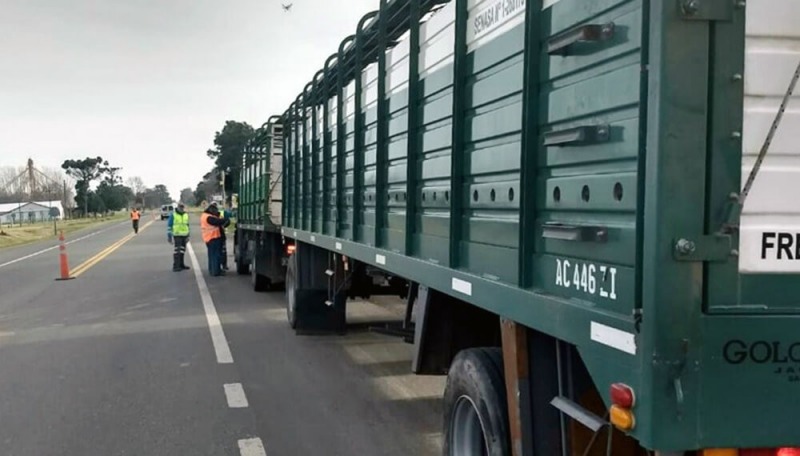 Habilitacin de camiones: dieron marcha atrs con la medida