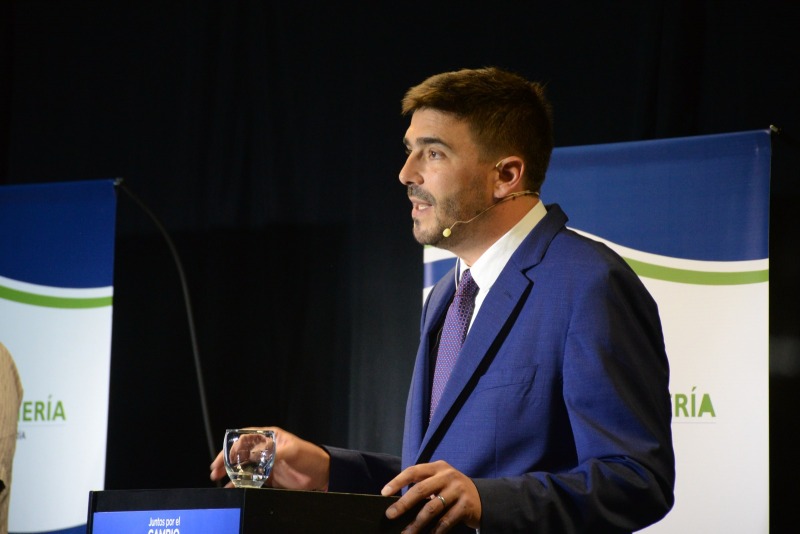 El intendente prometi csped sinttico, Espaa lo prohibi