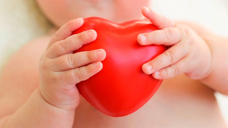 Cardiopatas congnitas: qu es la norma que Milei vot en contra