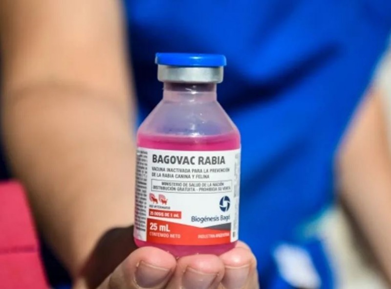 Bromatologa: informacin ante aparicin de murcilagos