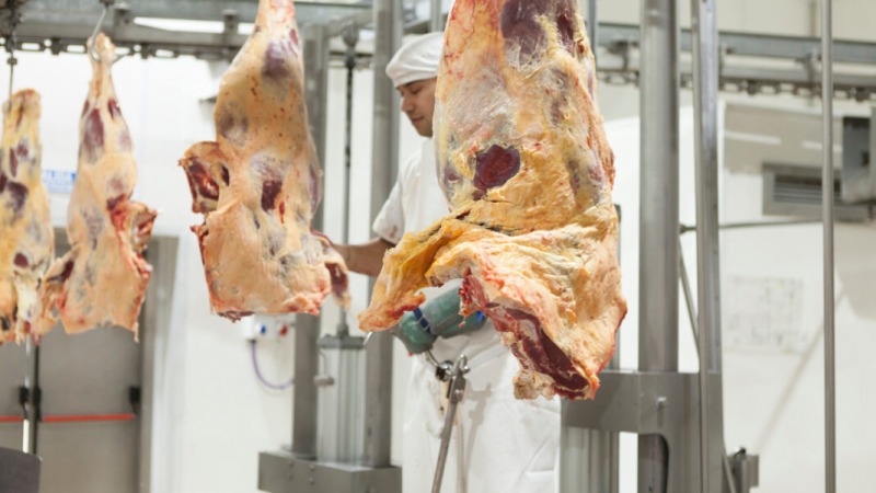 Autorizan a exportar cortes de carne que estaban prohibidos