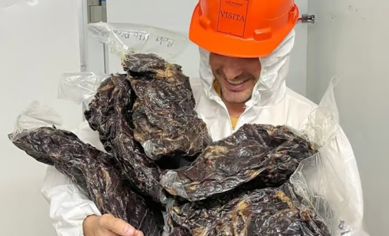 Charqui, la novedad histrica en el Encuentro Joven del campo