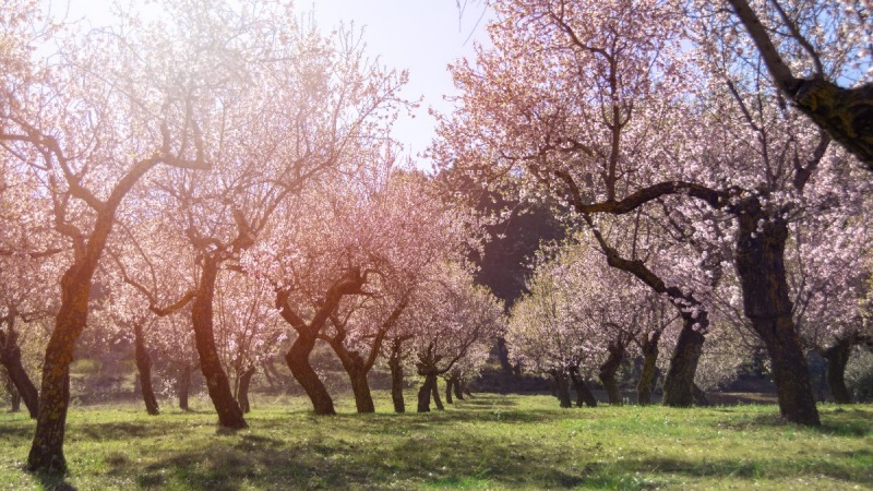 Se espera una primavera m�s c�lida y con pocas lluvias