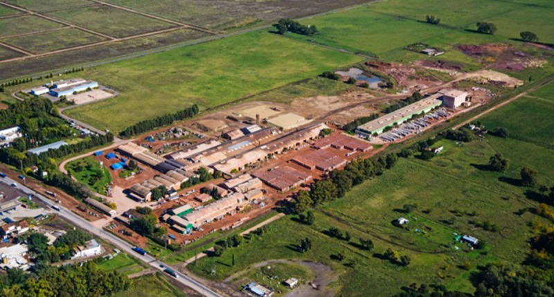 Losa par su planta de tejas por 