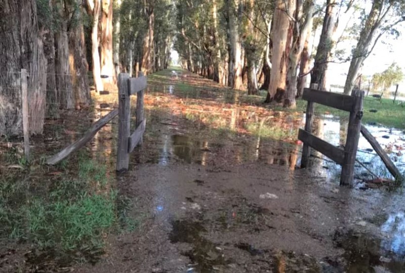 Bolvar: estiman que un 30% del Partido est bajo agua