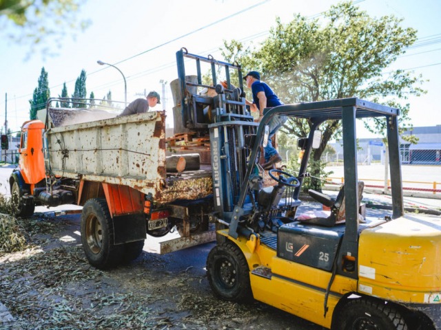 Comienza el esquema de recoleccin de poda 2025