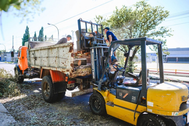 Comienza el esquema de recoleccin de poda 2025