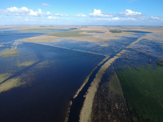 Panorama complejo para el campo bonaerense