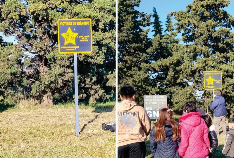 La Estrella Amarilla N 176 se coloc en Coronel Surez