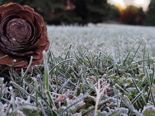 Junio arranc con heladas y temperaturas bajo cero