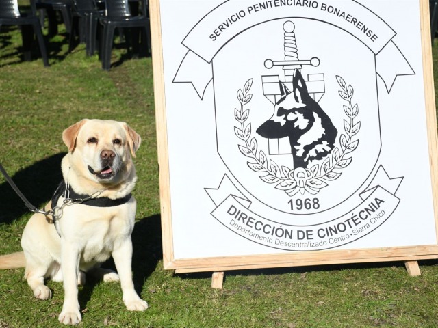 Se jubil un perro detector de estupefacientes en Sierra Chica