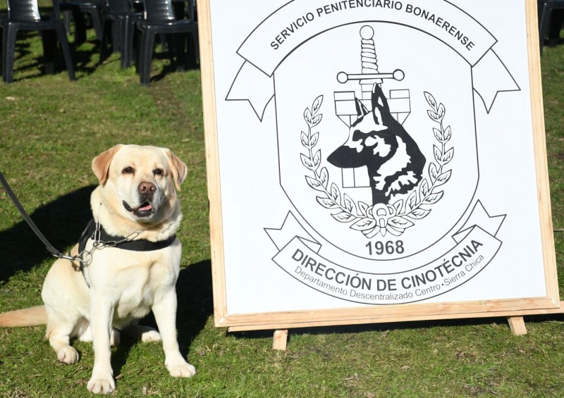 Se jubil un perro detector de estupefacientes en Sierra Chica