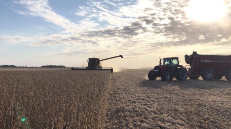 Retenciones: el campo apura la venta de soja