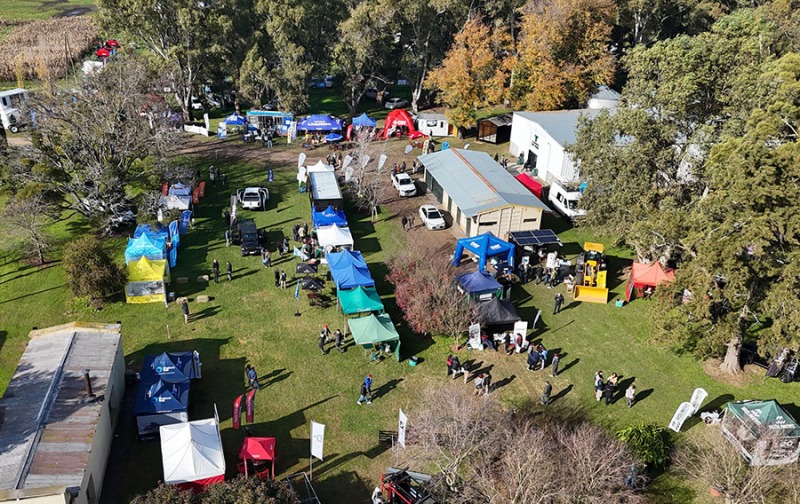 Una verdadera expo ganadera a campo abierto