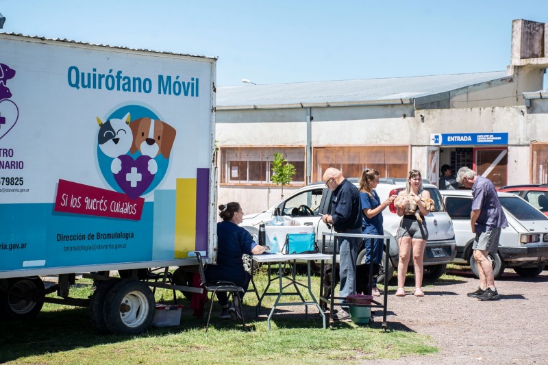Cmo sigue el recorrido del Quirfano Veterinario Mvil
