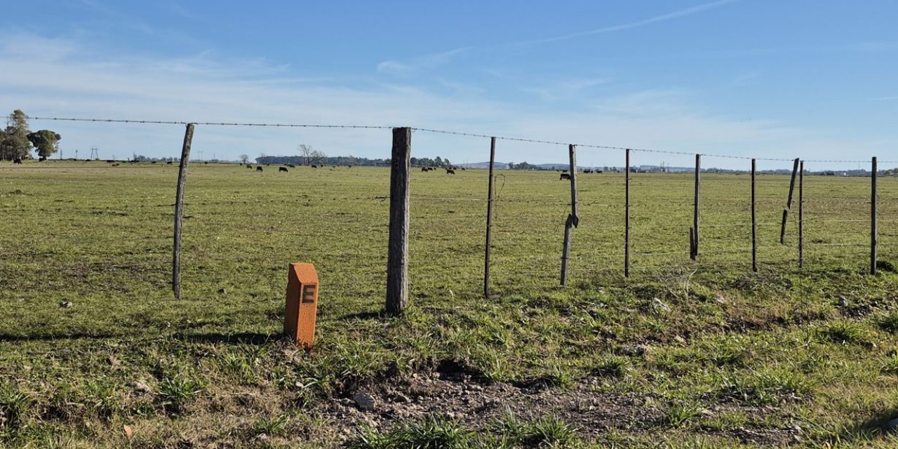 Los Palmares: los concejales comienzan a analizar minuciosamente el polmico proyecto