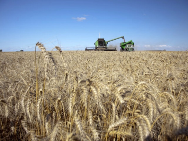 El campo renov sus crticas por la suba de las retenciones