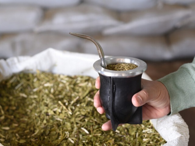 Las razones por las que es bueno para la salud tomar mate