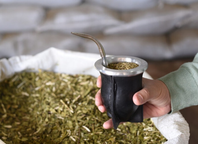 Las razones por las que es bueno para la salud tomar mate
