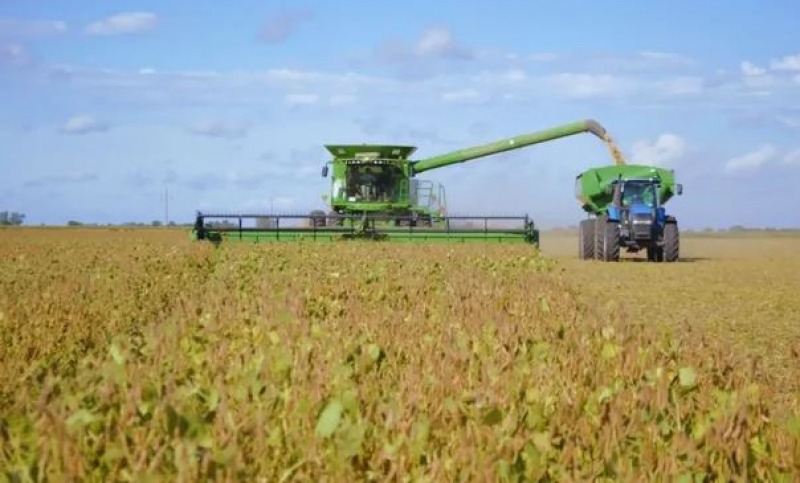 La baja de retenciones tiene ms impacto poltico que comercial