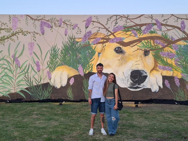 Donde el arte y el amor animal se encuentran