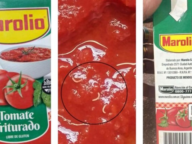 Advierten sobre presencia de gusanos en un lote de tomate