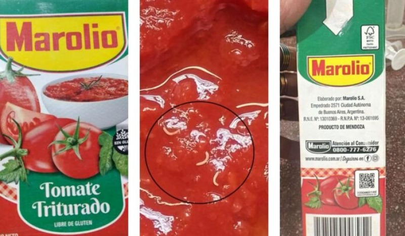 Advierten sobre presencia de gusanos en un lote de tomate