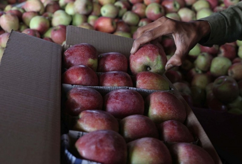 Precios de las frutas y verduras duplicaron la inflacin de agosto
