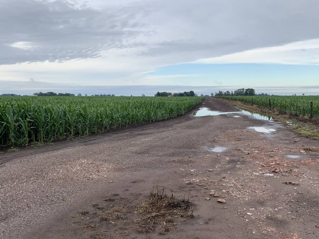 El mal clima gener contratiempos en la zona rural
