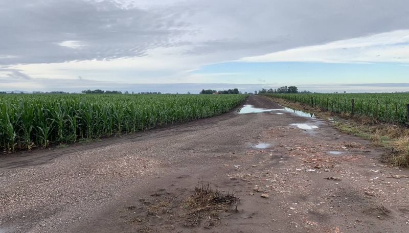 El mal clima gener contratiempos en la zona rural