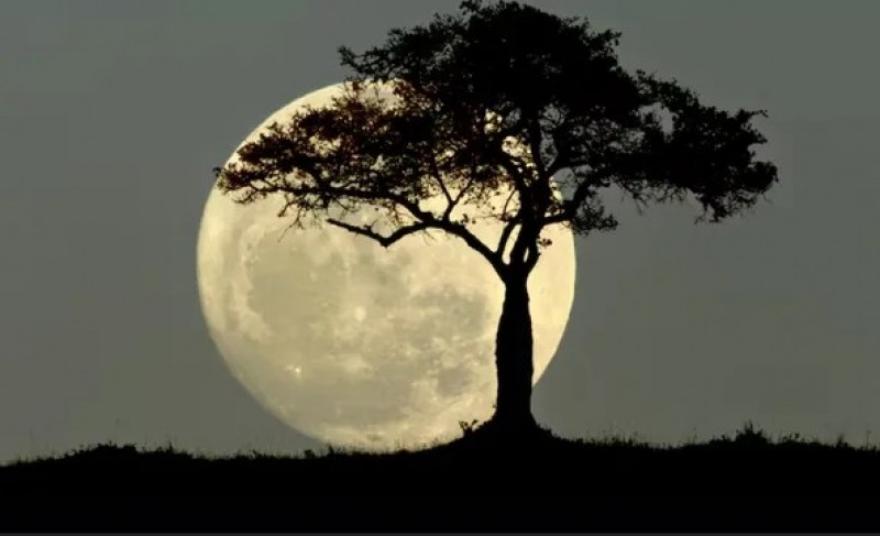 La luna un 14% ms grande y hasta un 30% ms brillante