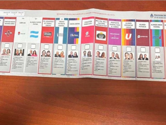 Boletas: el Gobierno apel el fallo que impide la reimpresin