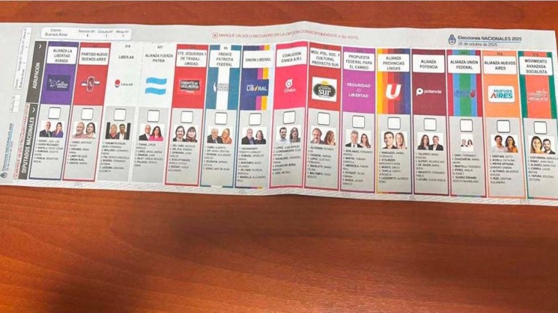 Boletas: el Gobierno apel el fallo que impide la reimpresin