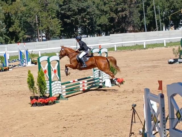 Actuacin histrica para Benjamn Urdapilleta en el Federal de Equitacin