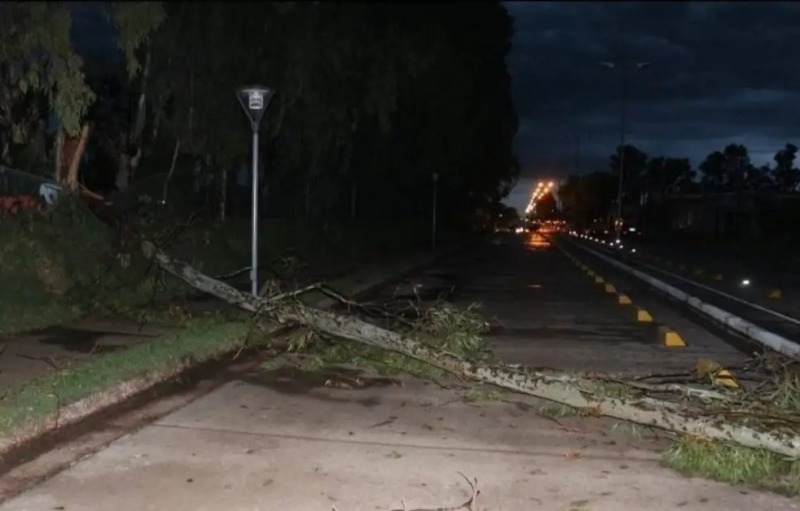 El temporal caus destrozos en Huangueln, Guamin y La Madrid