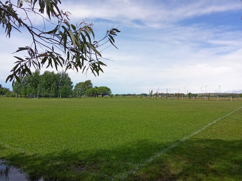 Tenemos un comodato, con la idea de comprar el predio