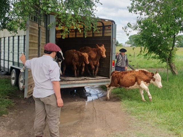 Entregaron animales recuperados a la Escuela Agraria