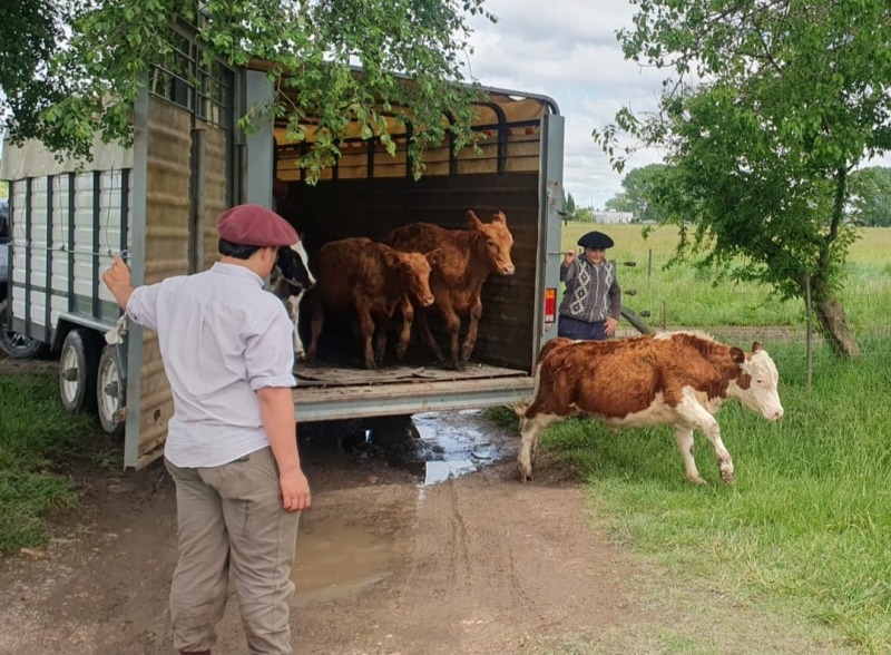 Entregaron animales recuperados a la Escuela Agraria